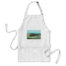 Festiniog Railway Aprons