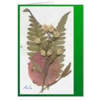 Festival Ferns Cards
