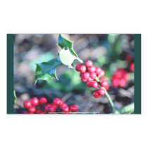 Festive Christmas Holly Sticker