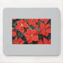 Festive  Poinsettia Mouse Pads