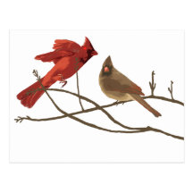 Festive Red Cardinals Postcard