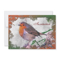 Festive Robin Party Invitation
