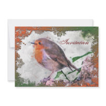 Festive Robin Party Invitation