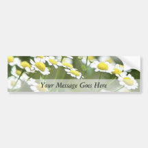 Feverfew Blossoms Bumper Stickers