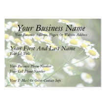 Feverfew Blossoms Business Card