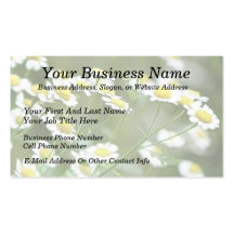 Feverfew Blossoms Business Card Template