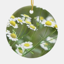 Feverfew Blossoms Christmas Ornaments