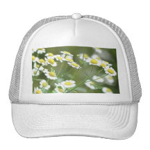 Feverfew Blossoms Mesh Hats