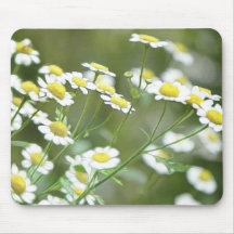 Feverfew Blossoms Mouse Mat