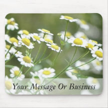 Feverfew Blossoms Mousepads