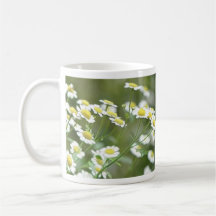 Feverfew Blossoms Mugs