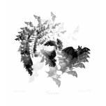 Fibonacci's Bats t-shirts