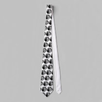 FICTS "Biscuit in Space" Tie