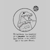 FICTS "Crocodile Lottery" Ladies Babydoll T-Shirt