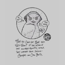 FICTS "Owls" Ladies Babydoll T-Shirt