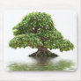 Ficus bonsai mousepads