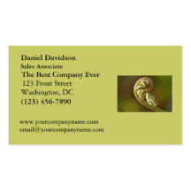 Fiddlehead Fern Business Card Templates