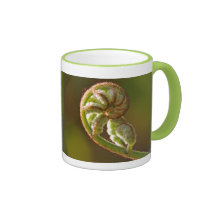 Fiddlehead Fern Coffee Mugs