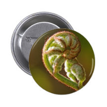 Fiddlehead Fern Pinback Buttons