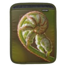 Fiddlehead Fern Sleeves For iPads