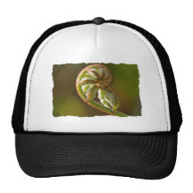 Fiddlehead Fern Trucker Hats