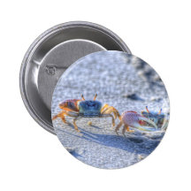 Fiddler Crab Button