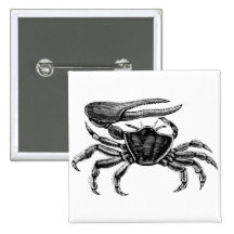 Fiddler Crab Drawing Button