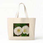 Field Bindweed bags