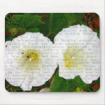 Field Bindweed mousepads