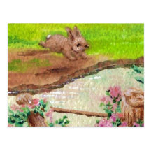 Field Bunny Products Post Cards