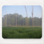 Field In Morning Mouse Pad
