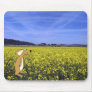 Field Mouse Mouse Pad