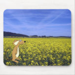 Field Mouse mousepads