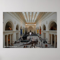 Field Museum Poster