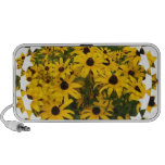 Field of Black Eyed Susan Speakers