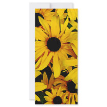 Field of Black-Eyed Susans Rack Cards