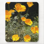 Field of CA Poppies Mousepad