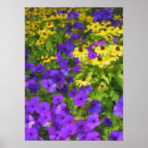 Field of Colours Poster