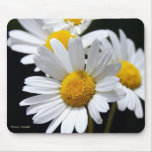 field of daisies mouse mats