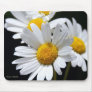 field of daisies mouse mats