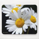 field of daisies mousepads