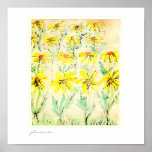 Field of Daisies Posters