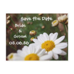 Field of Daisies Save the Date postcards