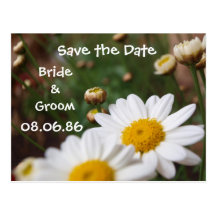 Field of Daisies Save the Date Postcards