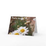 Field of Daisies Wedding Thank You Card