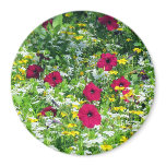 Field of Dreams Magnet