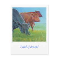 Field of dreams post card