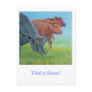 Field of dreams post card
