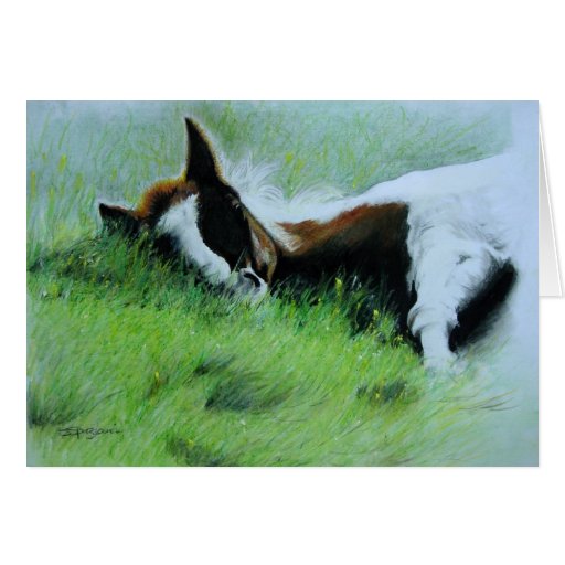 "Field of Dreams" Sleeping Foal Greeting Card
