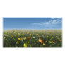 Field of Flowers Photo Card